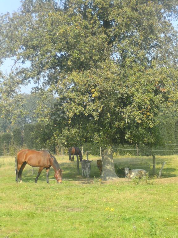 Farm Stay Luythoeve Meeuwen Luaran gambar